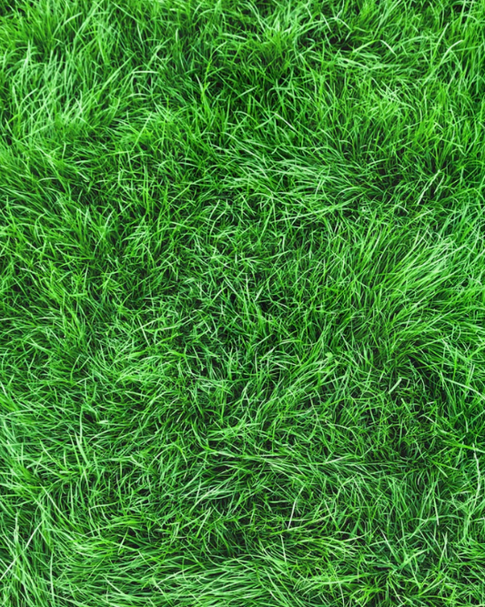 Perfume Gardener #001 - Hunq