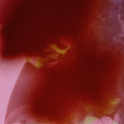 Perfume Pause - Abel