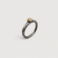 Anillo PWL R077